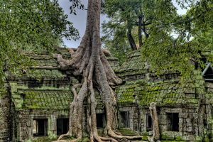 Exotic Birds & Ancient Temples Of Cambodia Tour Packages